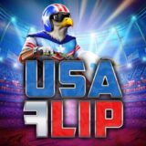 USA Flip logo