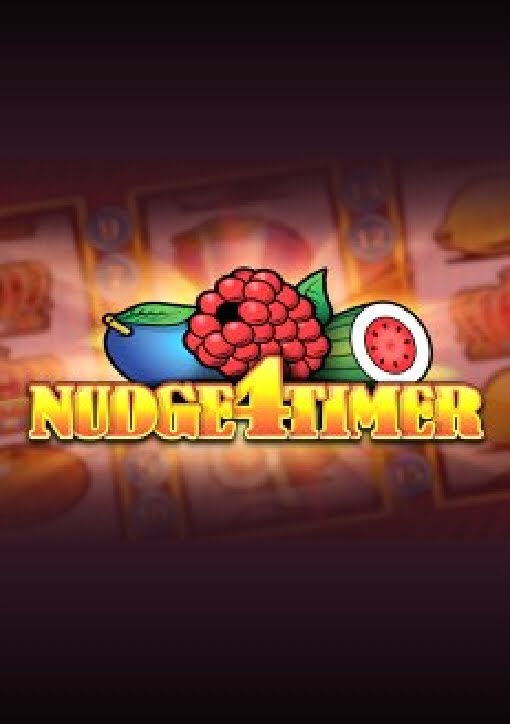 Nudge 4 team logo
