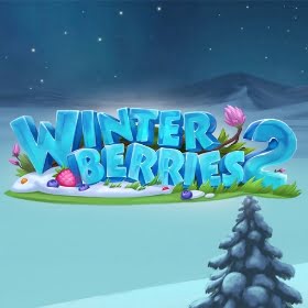 Winterberries 2 