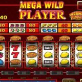 Mega wild player logo