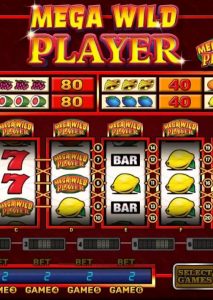 Mega-wild-player-logo-720px (1)