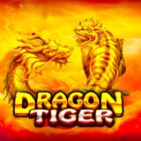 Dragon tiger logo
