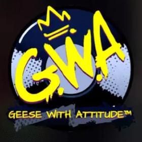 Geese With Attitude 