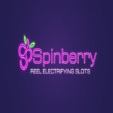 Spinberry logo