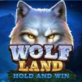 Wolf land hold and win