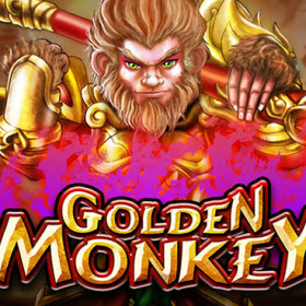 Golden Monkey