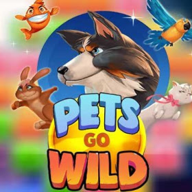 Pets Go Wild