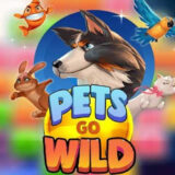 Pets go Wild logo