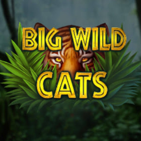 Big Wild Cats