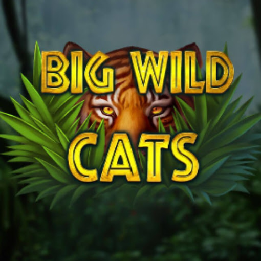 Big Wild Cats