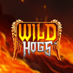 Wild Hogs