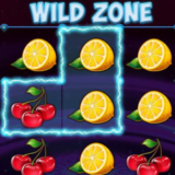 Wild Zone logo 510