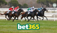 Bet365 biedt extra wedopties tijdens Cheltenham Festival