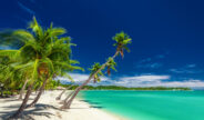 David Group plant mega casino resort in Fiji