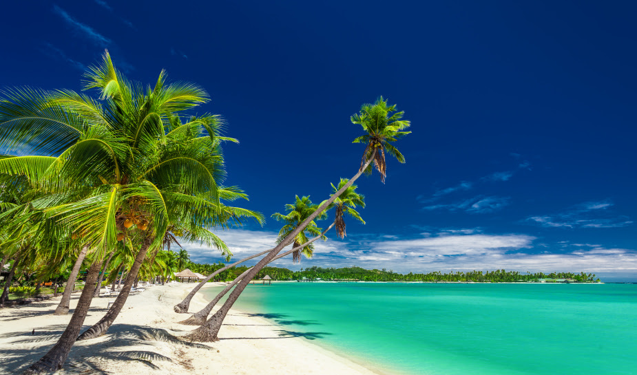 david-group-plant-mega-casino-resort-in-fiji