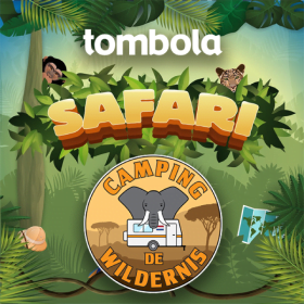 Safari Bingo