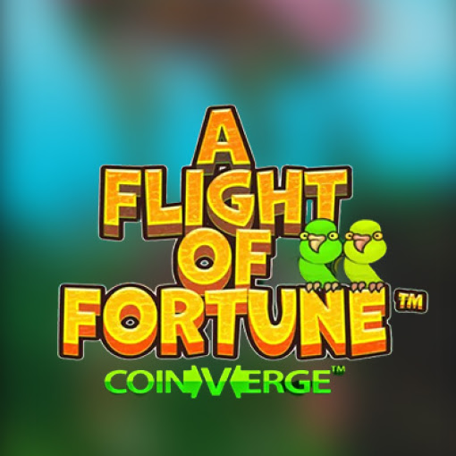 A Flight of Fortune