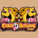 crazy bulldog logo 510