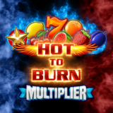 Hot to Burn Multiplier logo 510