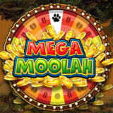 mega moolah jackpot