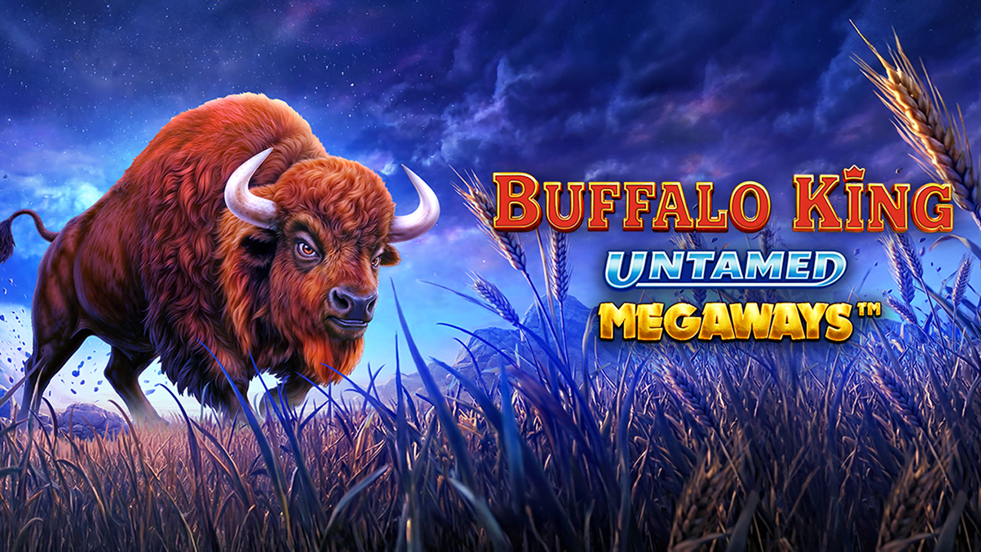 Buffalo King Untamed Megaways afbeelding desktop