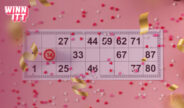 Veel extra prijzen te winnen in de bingo kamers van Winnitt