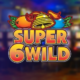 Super 6 Wild logo 280