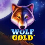 wolf-gold-logo-510px