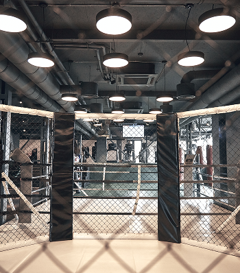 UFC/MMA