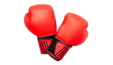 UFC MMA header