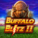 Buffalo Blitz II logo 280