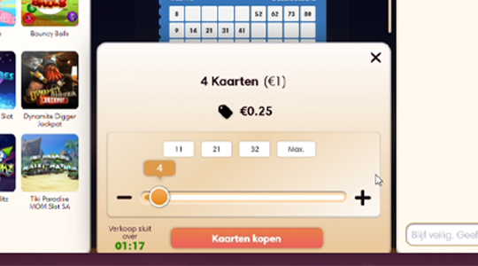 Bingokaarten kopen 