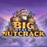 Big Stack Nutrack logo 510