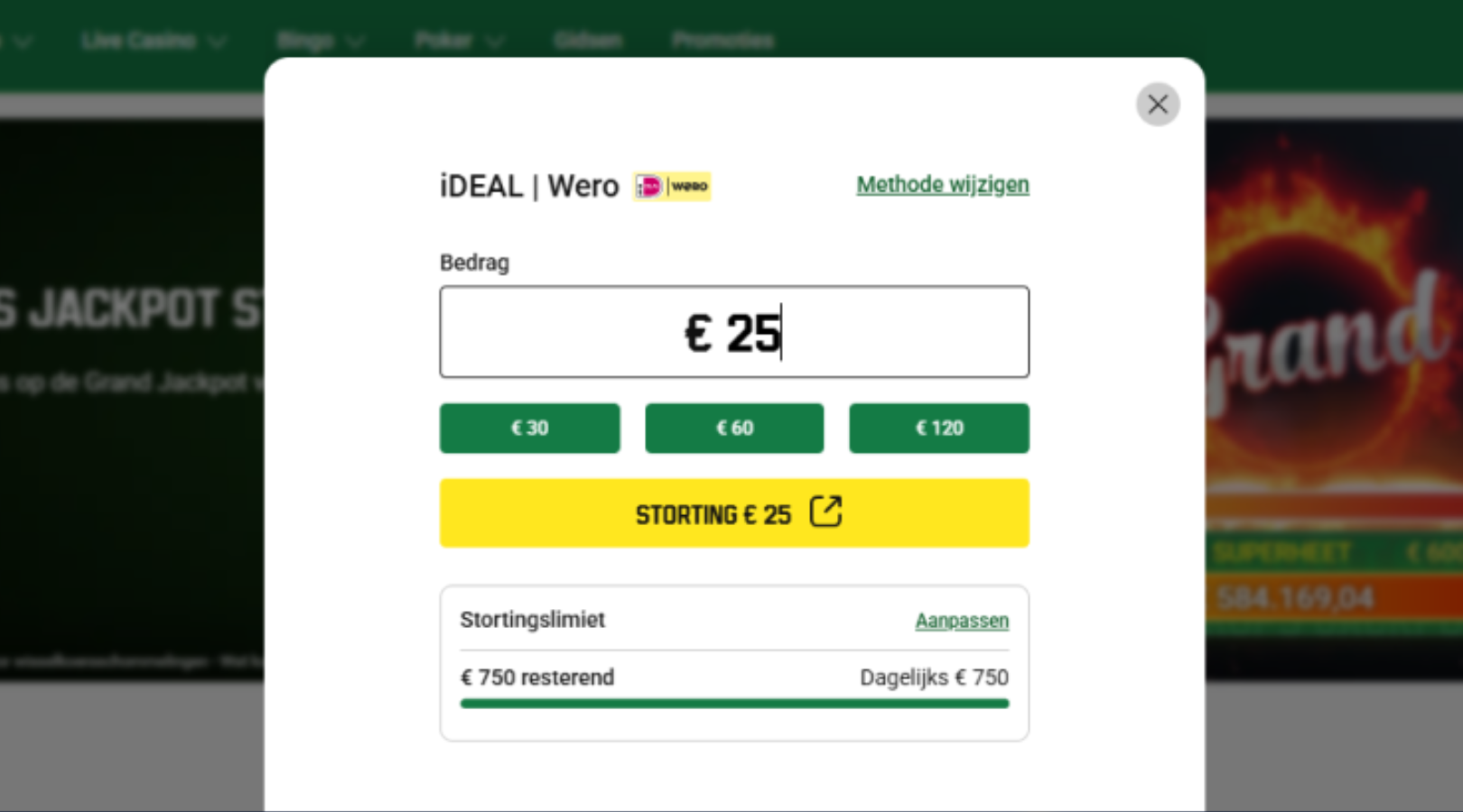 Vul het gewenste bedrag in